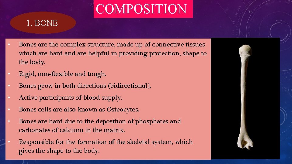 COMPOSITION 1. BONE • Bones are the complex structure, made up of connective tissues