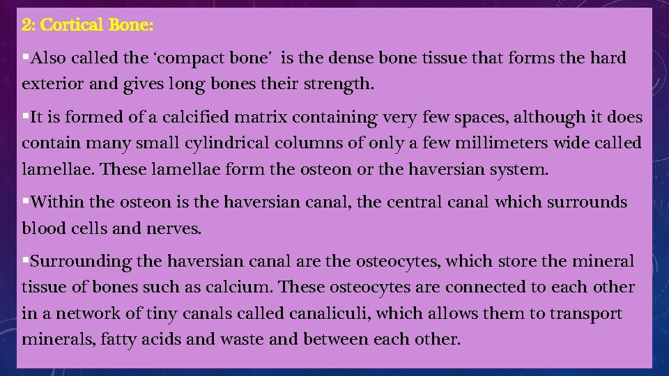 2: Cortical Bone: §Also called the ‘compact bone’ is the dense bone tissue that