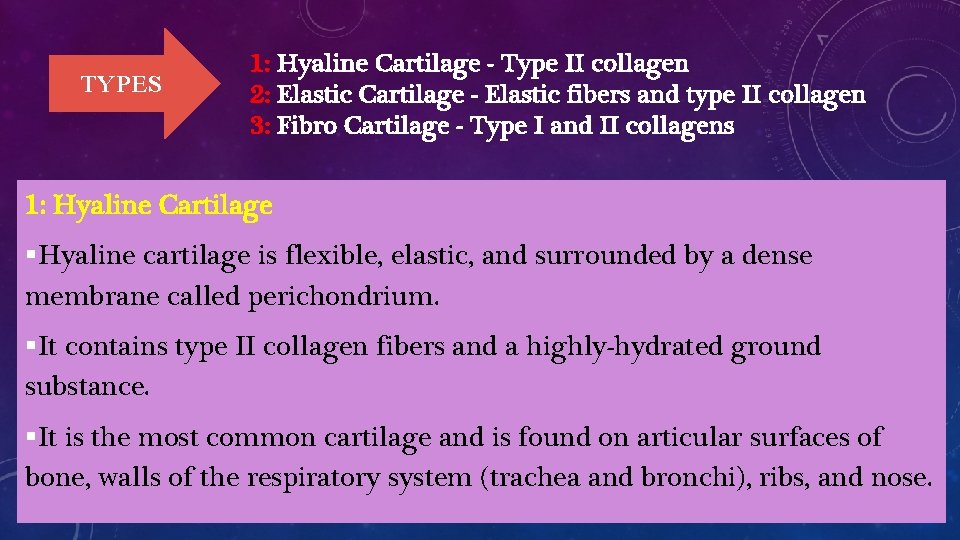 TYPES 1: Hyaline Cartilage - Type II collagen 2: Elastic Cartilage - Elastic fibers