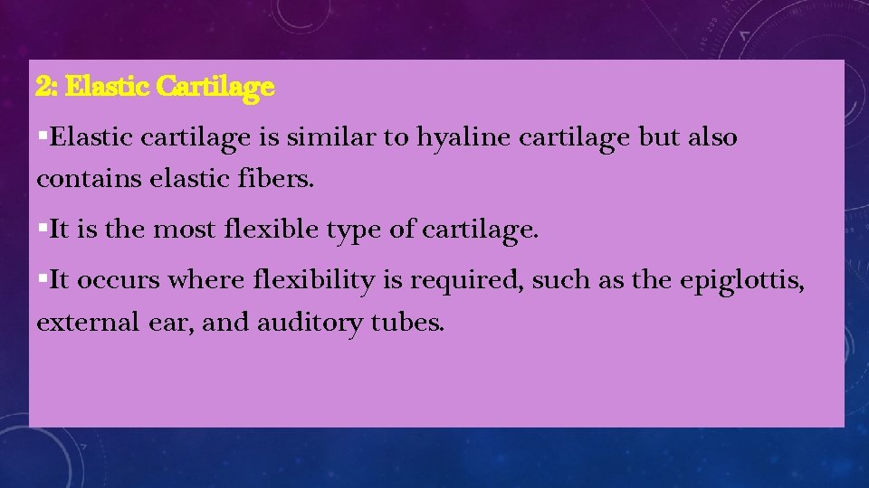 2: Elastic Cartilage §Elastic cartilage is similar to hyaline cartilage but also contains elastic