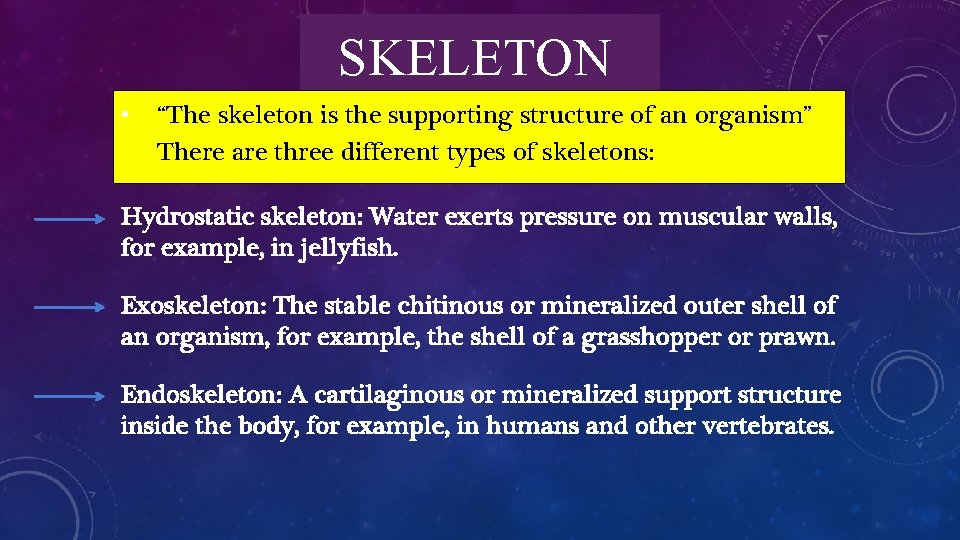 SKELETON • “The skeleton is the supporting structure of an organism” There are three