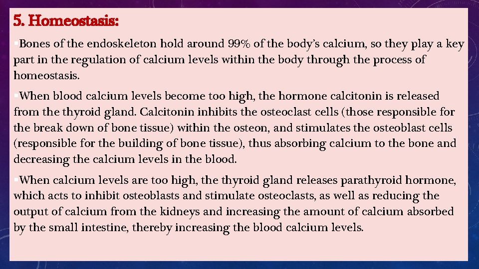 5. Homeostasis: §Bones of the endoskeleton hold around 99% of the body’s calcium, so