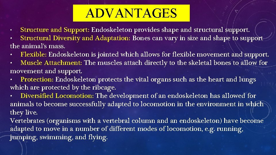 ADVANTAGES Structure and Support: Endoskeleton provides shape and structural support. • Structural Diversity and