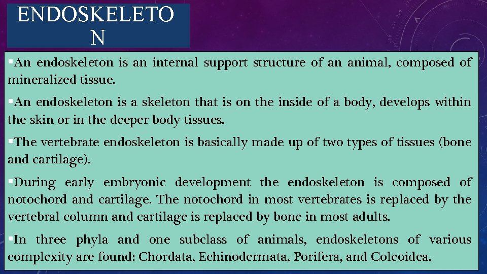 ENDOSKELETO N §An endoskeleton is an internal support structure of an animal, composed of