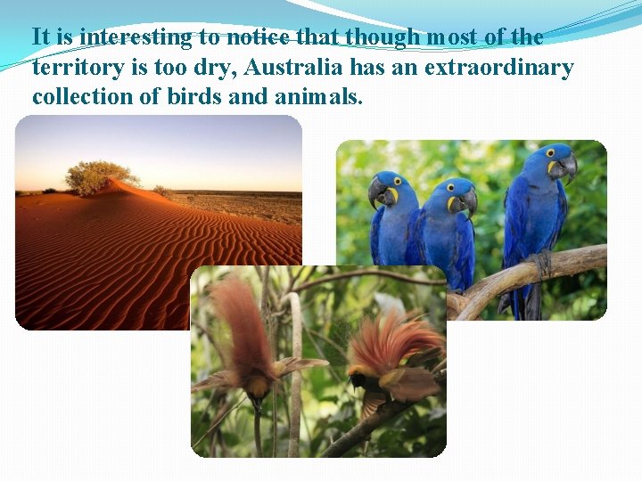 It is interesting to notice that though most of the territory is too dry,
