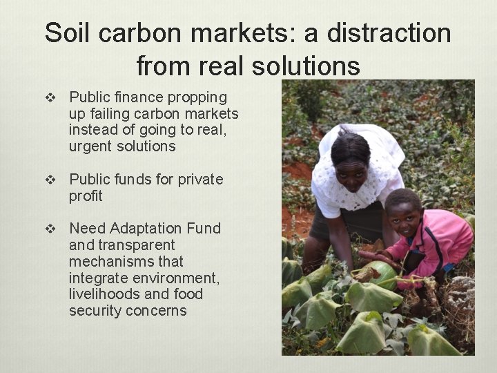 Soil carbon markets: a distraction from real solutions v Public finance propping up failing