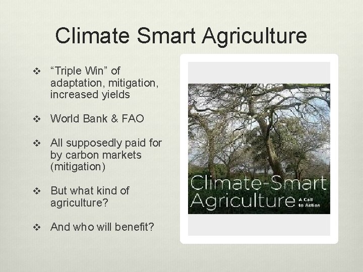 Climate Smart Agriculture v “Triple Win” of adaptation, mitigation, increased yields v World Bank
