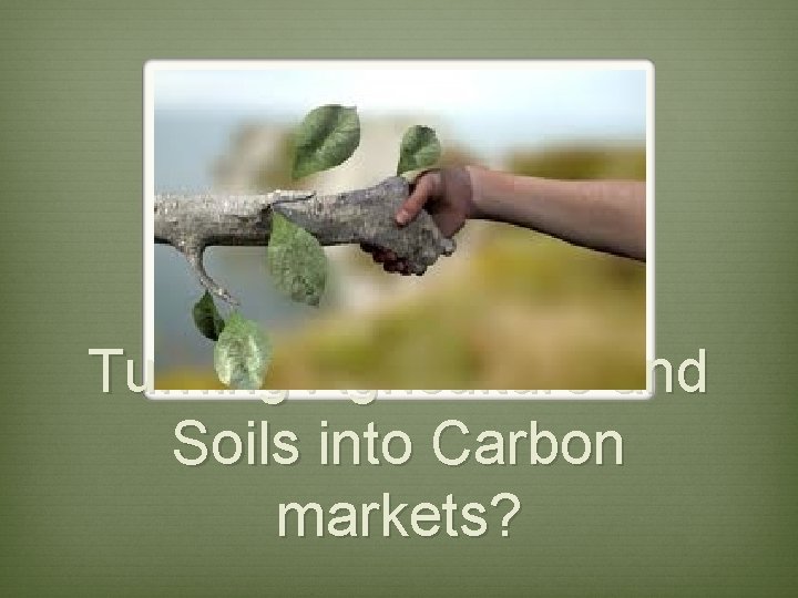 Turning Agriculture and Soils into Carbon markets? 