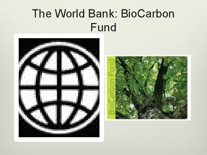 The World Bank: Bio. Carbon Fund 