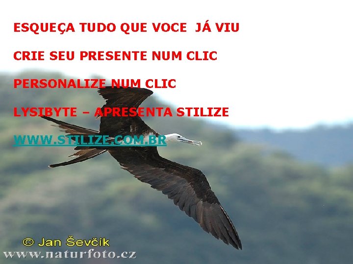 ESQUEÇA TUDO QUE VOCE JÁ VIU CRIE SEU PRESENTE NUM CLIC PERSONALIZE NUM CLIC