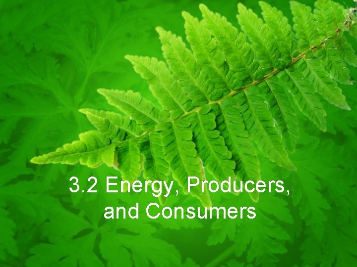 3. 2 Energy, Producers, and Consumers 