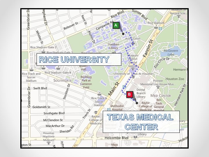 RICE UNIVERSITY TEXAS MEDICAL CENTER 