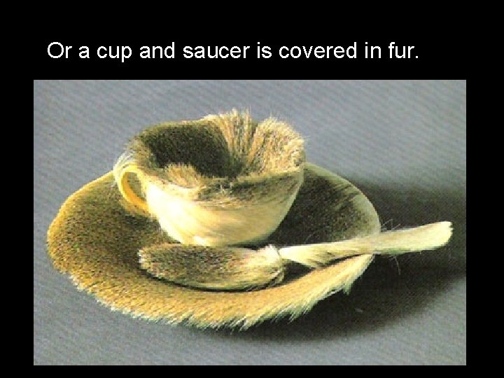 Or a cup and saucer is covered in fur. 