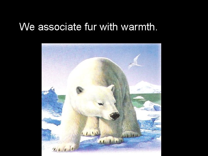 We associate fur with warmth. 