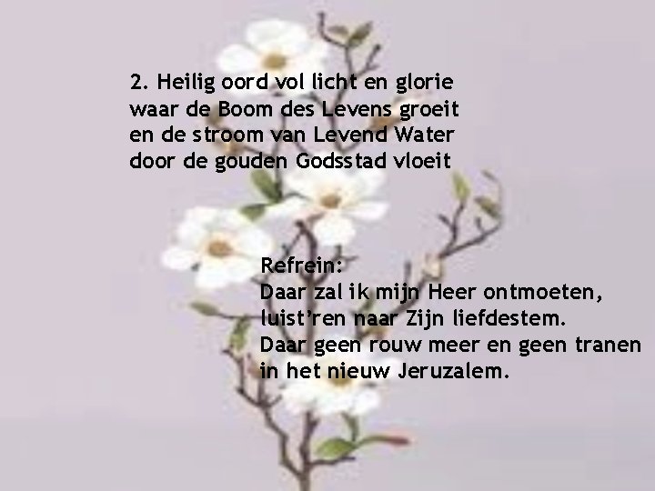  2. Heilig oord vol licht en glorie waar de Boom des Levens groeit