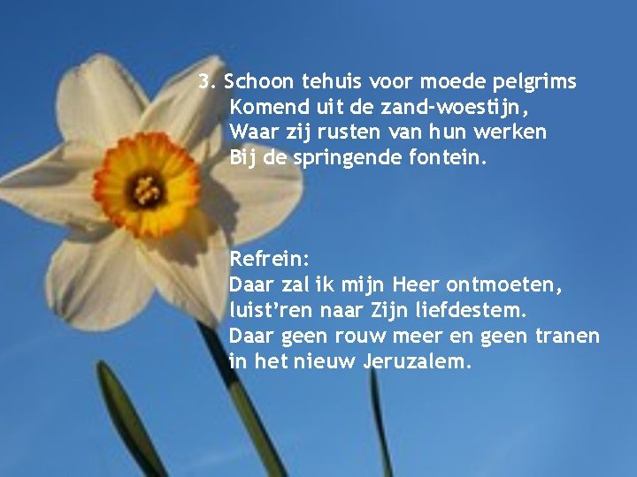 3. Schoon tehuis voor moede pelgrims Komend uit de zand-woestijn, Waar zij rusten van