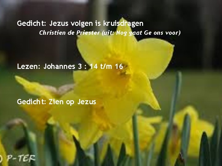 Gedicht: Jezus volgen is kruisdragen Christien de Priester (uit: Nog gaat Ge ons voor)