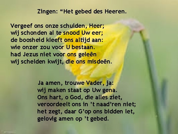 Zingen: “Het gebed des Heeren. Vergeef ons onze schulden, Heer; wij schonden al te