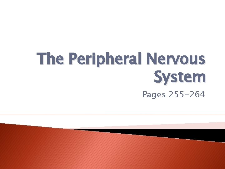 The Peripheral Nervous System Pages 255 -264 