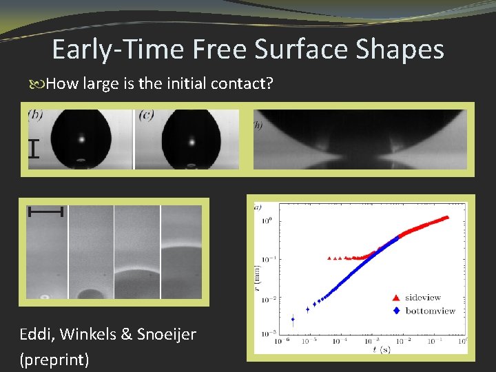 Early-Time Free Surface Shapes How large is the initial contact? Eddi, Winkels & Snoeijer