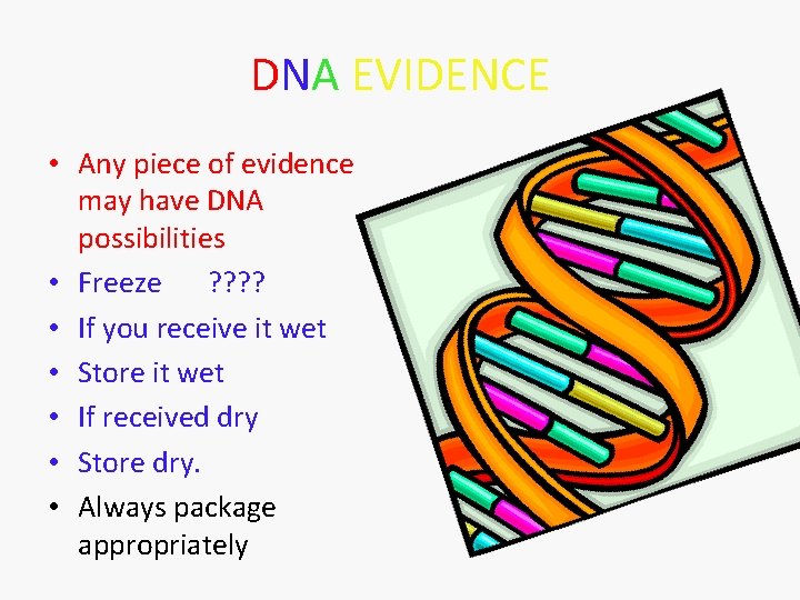 DNA EVIDENCE • Any piece of evidence may have DNA possibilities • Freeze ?