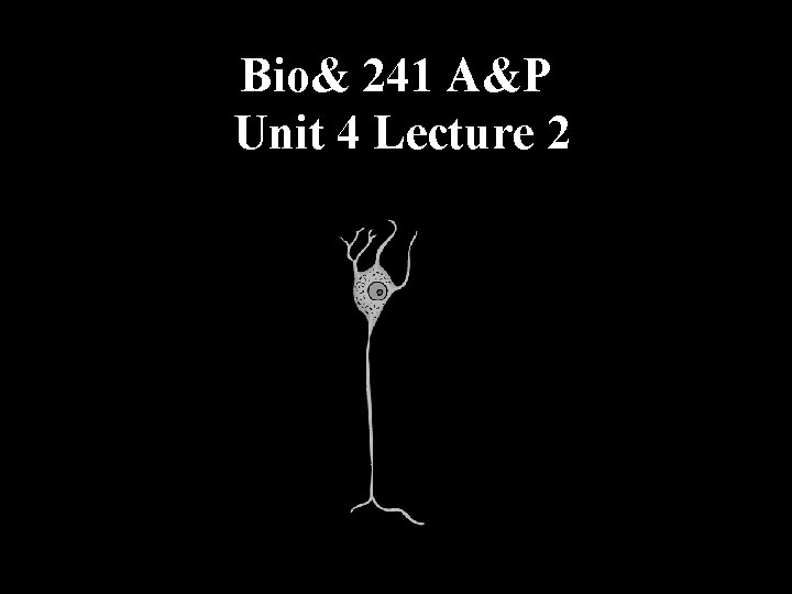 Bio& 241 A&P Unit 4 Lecture 2 