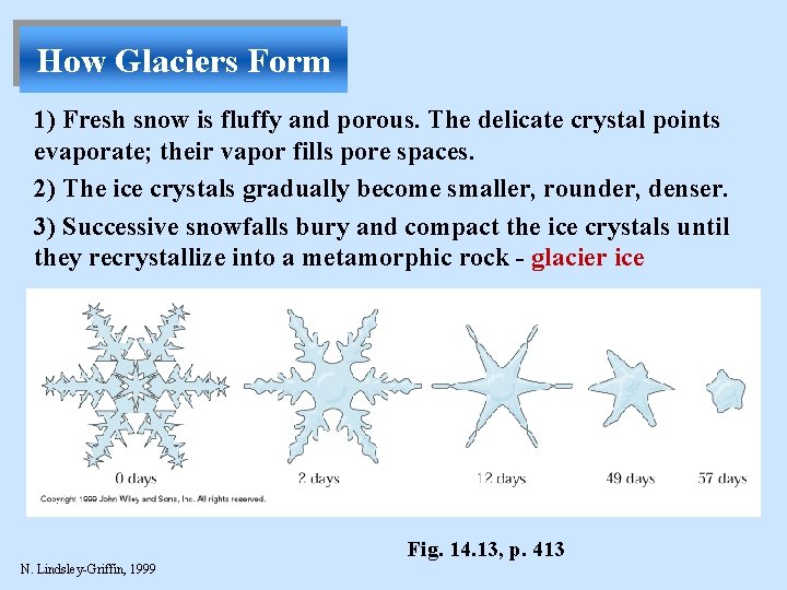 How Glaciers Form 1) Fresh snow is fluffy and porous. The delicate crystal points