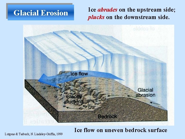 Glacial Erosion Lutgens & Tarbuck; N. Lindsley-Griffin, 1999 Ice abrades on the upstream side;