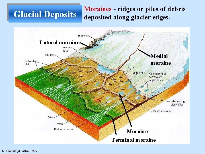 Glacial Deposits Moraines - ridges or piles of debris deposited along glacier edges. Lateral
