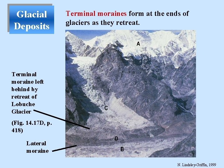 Glacial Deposits Terminal moraines form at the ends of glaciers as they retreat. Terminal