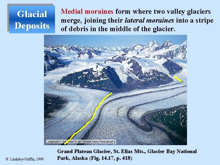 Glacial Deposits N. Lindsley-Griffin, 1999 Medial moraines form where two valley glaciers merge, joining