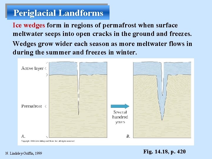 Periglacial Landforms Ice wedges form in regions of permafrost when surface meltwater seeps into