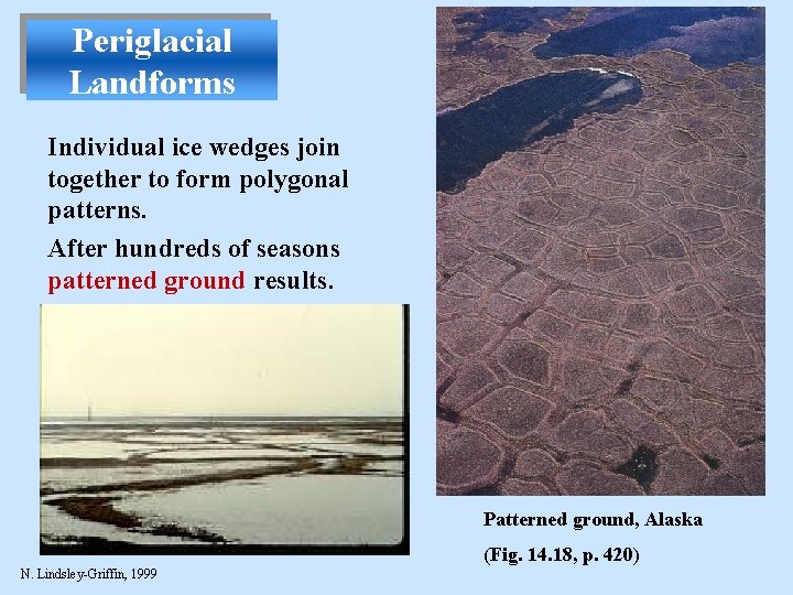 Periglacial Landforms Individual ice wedges join together to form polygonal patterns. After hundreds of