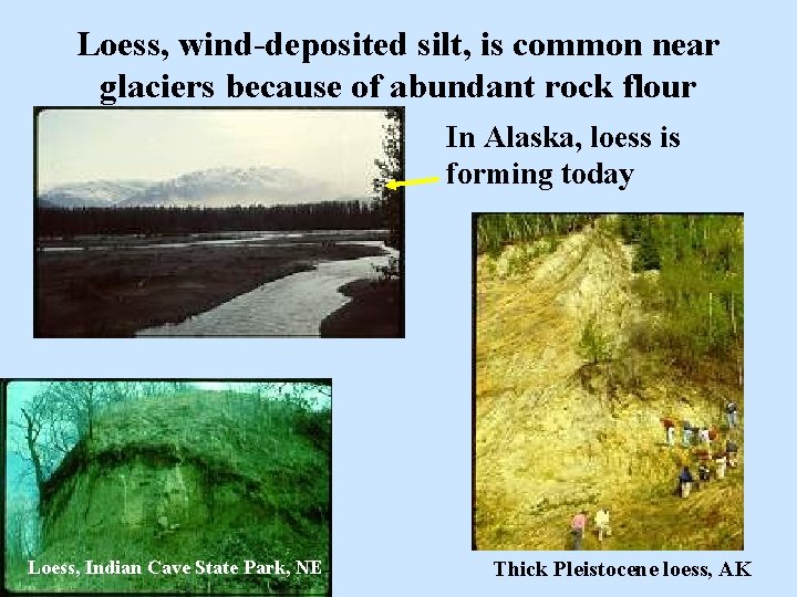 Loess, wind-deposited silt, is common near glaciers because of abundant rock flour In Alaska,