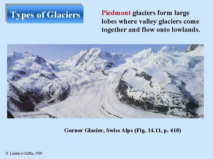 Types of Glaciers Piedmont glaciers form large lobes where valley glaciers come together and