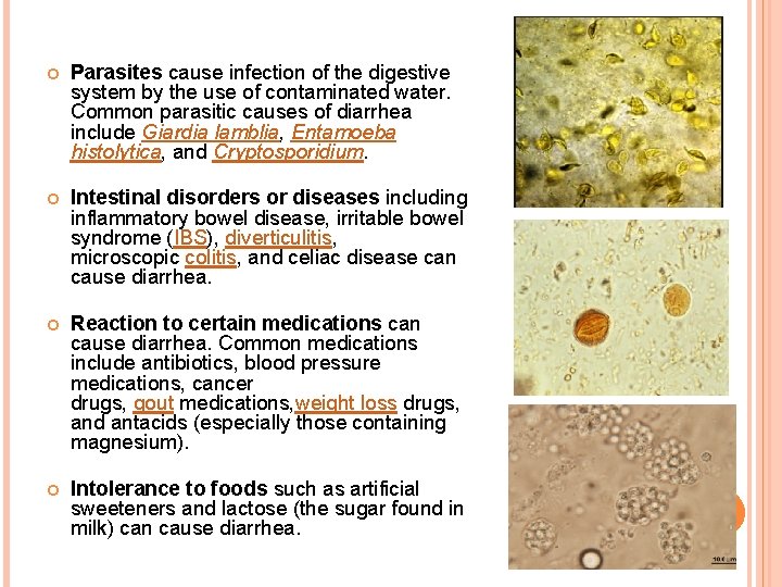  Parasites cause infection of the digestive system by the use of contaminated water.