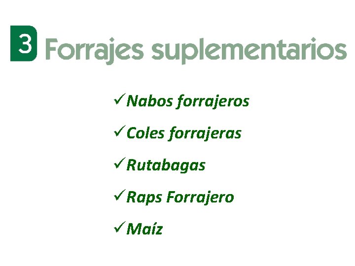 üNabos forrajeros üColes forrajeras üRutabagas üRaps Forrajero üMaíz 