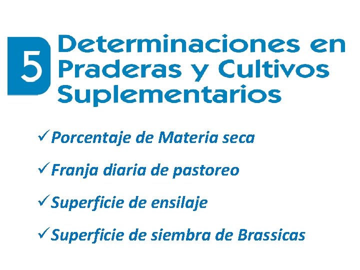 üPorcentaje de Materia seca üFranja diaria de pastoreo üSuperficie de ensilaje üSuperficie de siembra