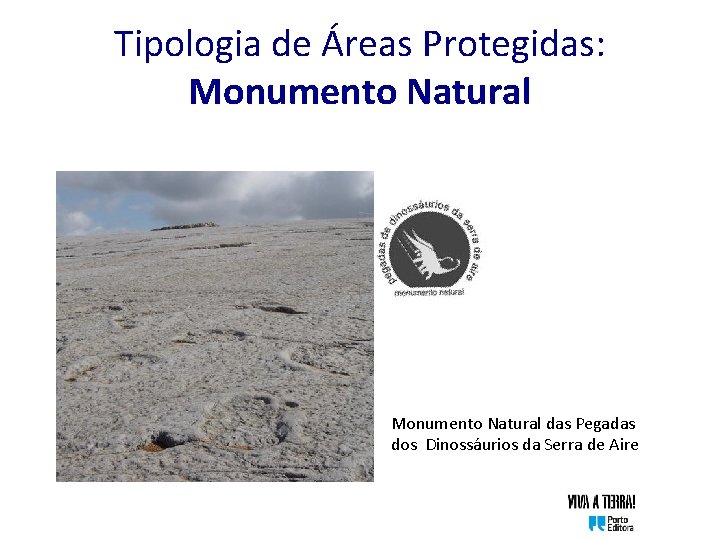 Tipologia de Áreas Protegidas: Monumento Natural das Pegadas dos Dinossáurios da Serra de Aire