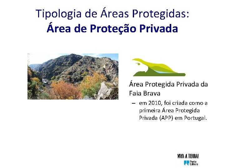 Tipologia de Áreas Protegidas: Área de Proteção Privada • Área Protegida Privada da Faia