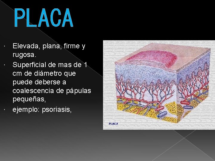 PLACA Elevada, plana, firme y rugosa. Superficial de mas de 1 cm de diámetro