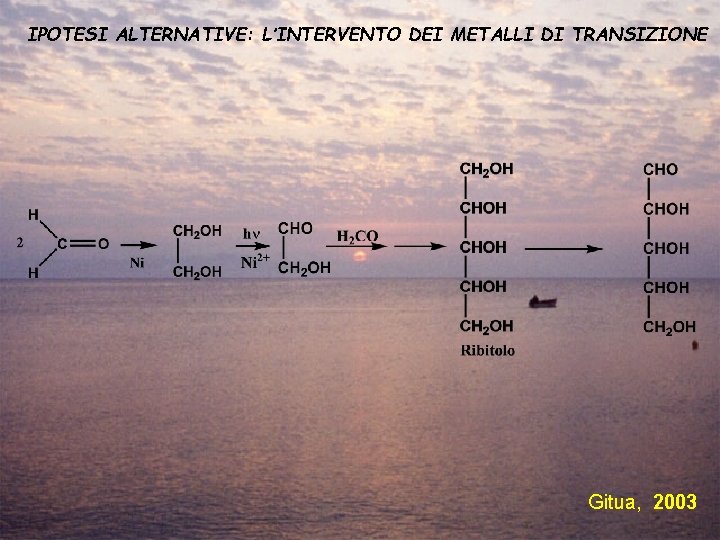 IPOTESI ALTERNATIVE: L’INTERVENTO DEI METALLI DI TRANSIZIONE Gitua, 2003 