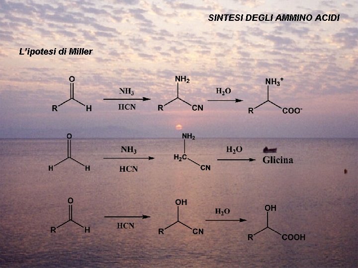 SINTESI DEGLI AMMINO ACIDI L’ipotesi di Miller 