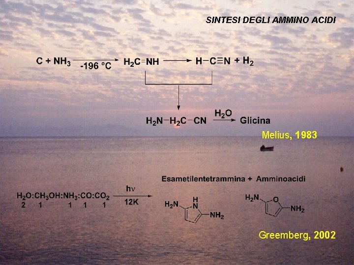 SINTESI DEGLI AMMINO ACIDI Melius, 1983 Greemberg, 2002 