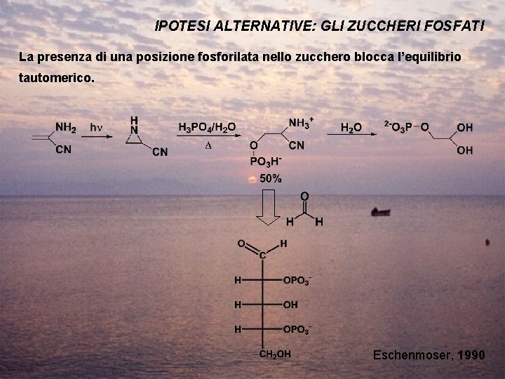 IPOTESI ALTERNATIVE: GLI ZUCCHERI FOSFATI La presenza di una posizione fosforilata nello zucchero blocca