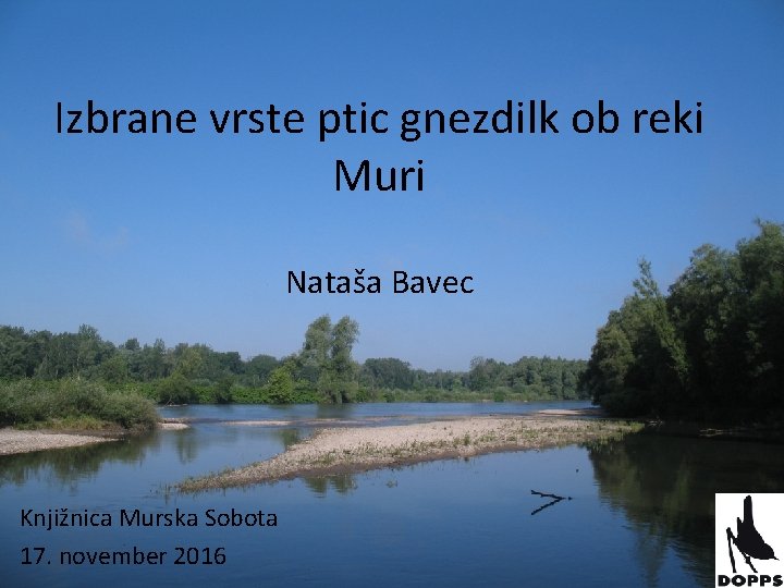 Izbrane vrste ptic gnezdilk ob reki Muri Nataša Bavec Knjižnica Murska Sobota 17. november