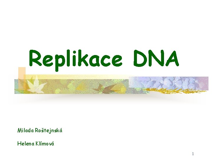 Replikace DNA Milada Roštejnská Helena Klímová 1 