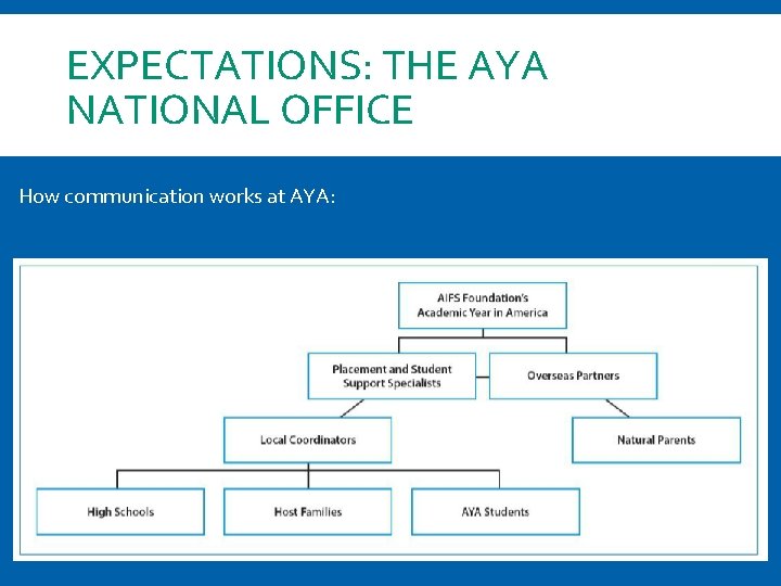 EXPECTATIONS: THE AYA NATIONAL OFFICE How communication works at AYA: 