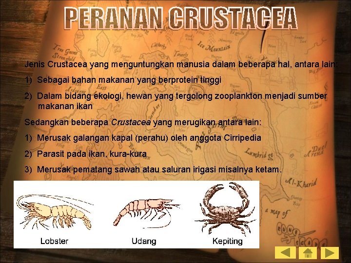 Jenis Crustacea yang menguntungkan manusia dalam beberapa hal, antara lain: 1) Sebagai bahan makanan