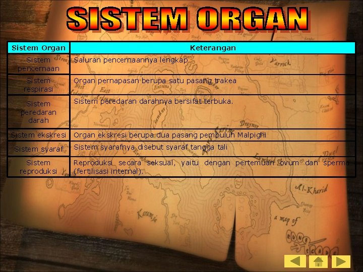 Sistem Organ Sistem pencernaan Keterangan Saluran pencernaannya lengkap Sistem respirasi Organ pernapasan berupa satu